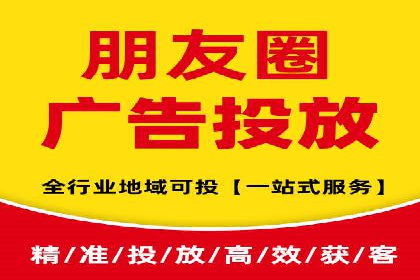 某科技公司的信息流广告投放策略与效果评估